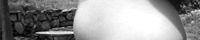 couv